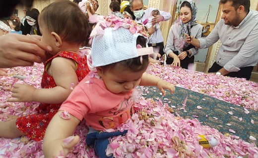 برگزاری آیین ملی گل غلتان در کاشان+&zwnj;  &zwnj;تصاویر و فیلم