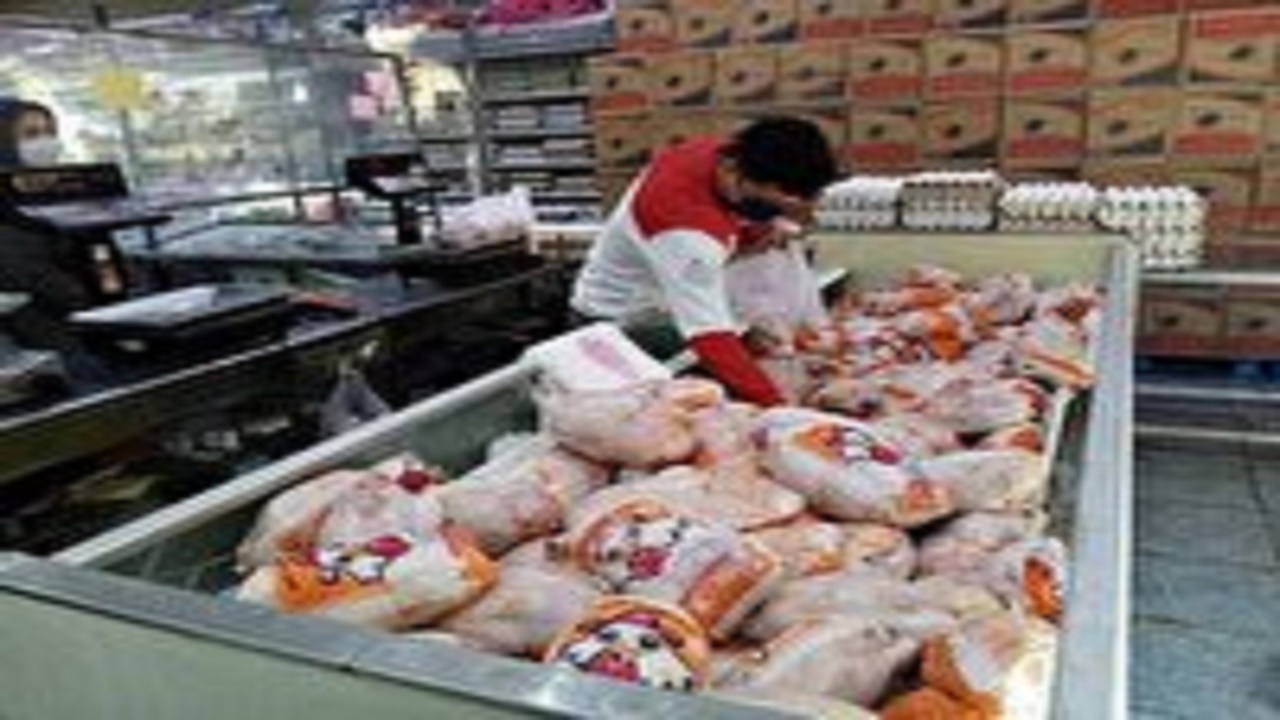 عرضه گسترده مرغ و تخم مرغ در آذربایجان شرقی