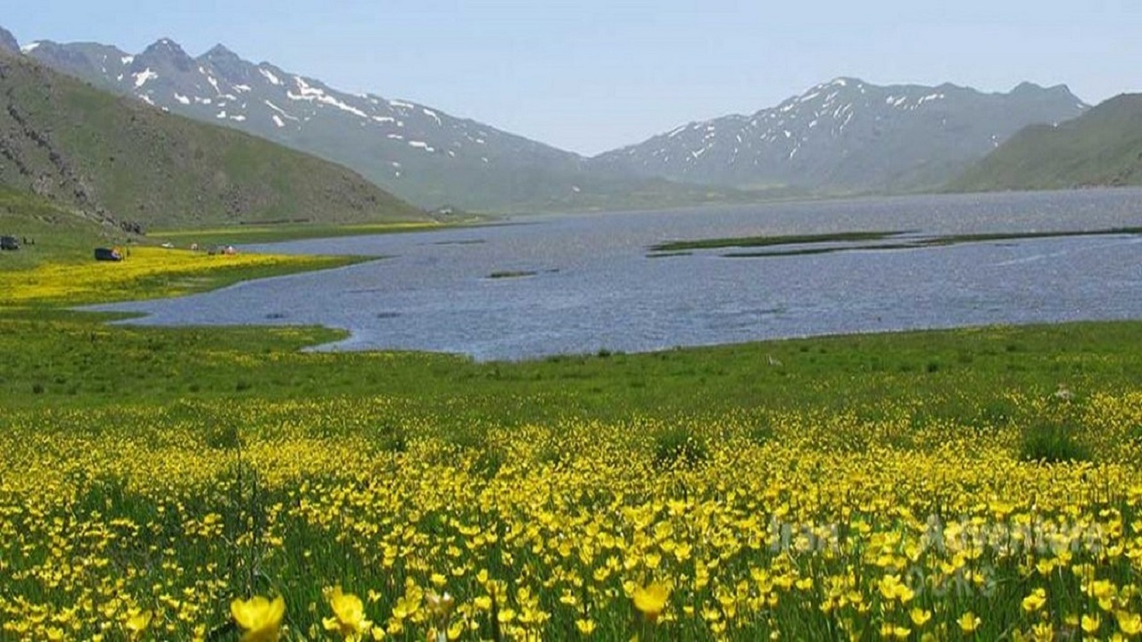 تامین امنیت زیستگاه‌های اردبیل برای میزبانی از پرندگان مهاجر
