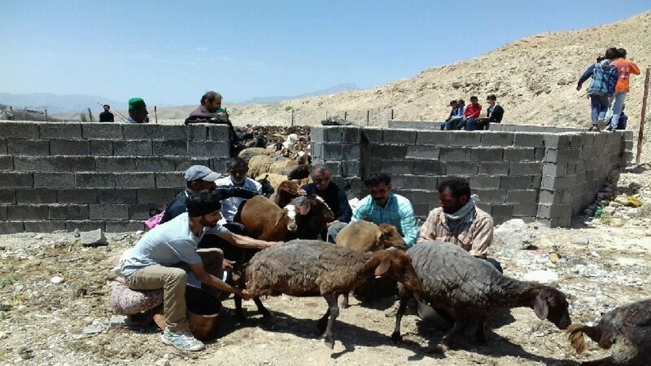 جشنواره امامدر در دیباج برگزار شد