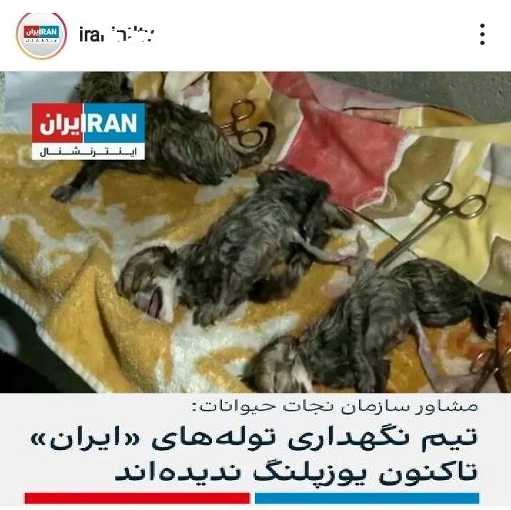 ایران اینترنشنال
