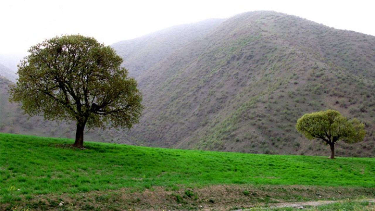 چشم اندازی از طبیعت سارال کردستان + فیلم