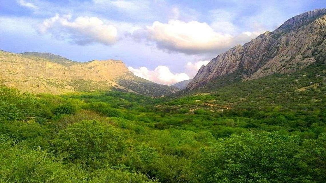 تصاویری از طبیعت بهاری دشت ارژن