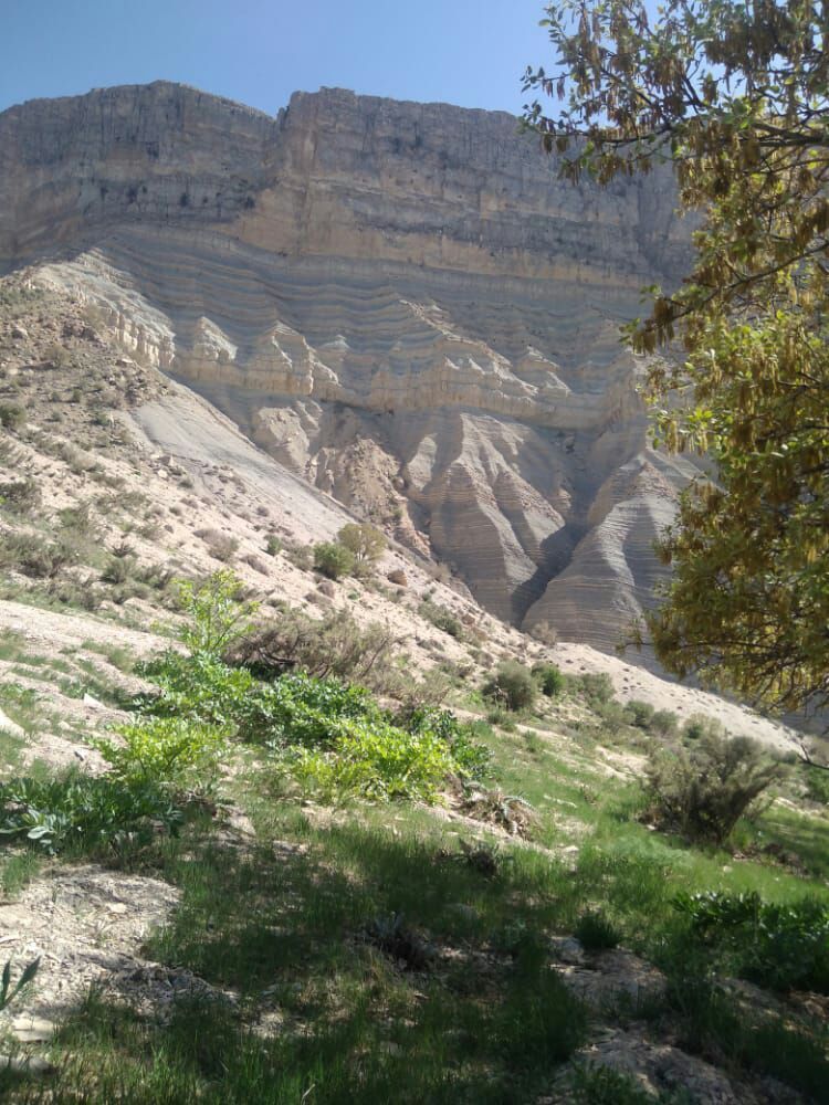 تصاویری از طبیعت بهاری دشت ارژن