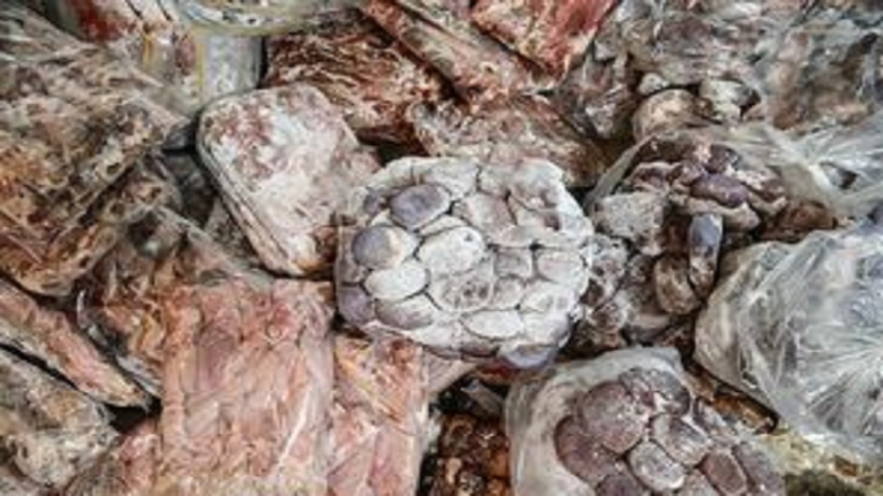 امحا ۴۰۰ کیلوگرم سوسیس و همبرگر فاسد در کرمانشاه