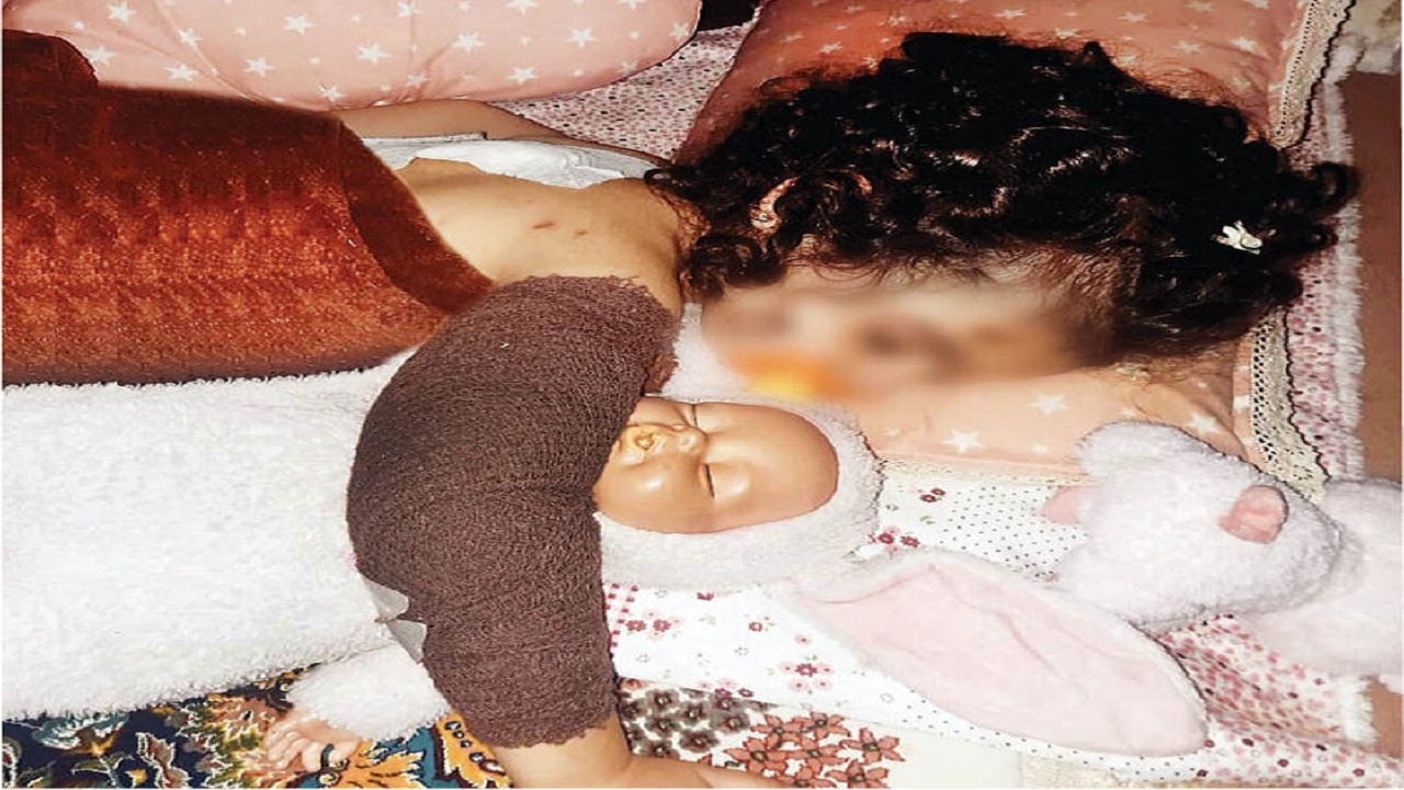 انسان آزاری با پوشش حیوان دوستی در مشکین دشت