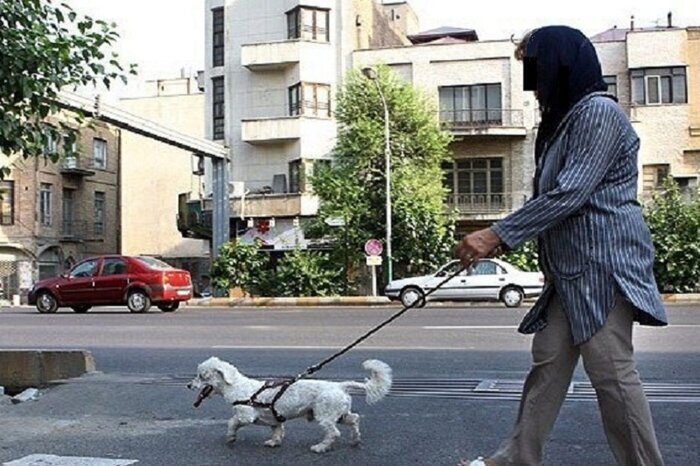 چند فریم با جسد حیوان خانگی، چند هزار دنبال&zwnj;کننده