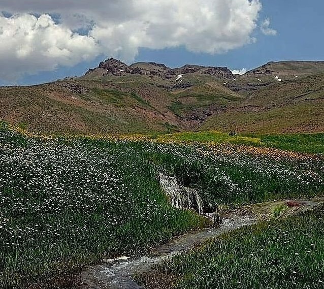 از