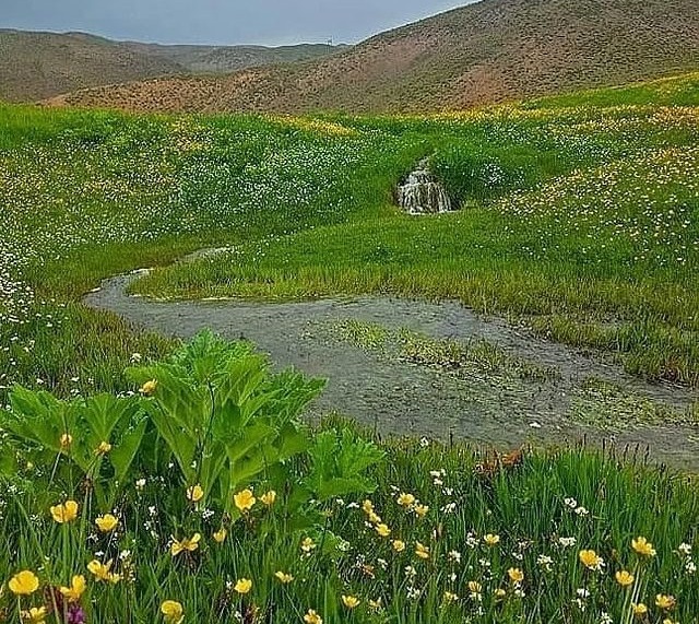 از