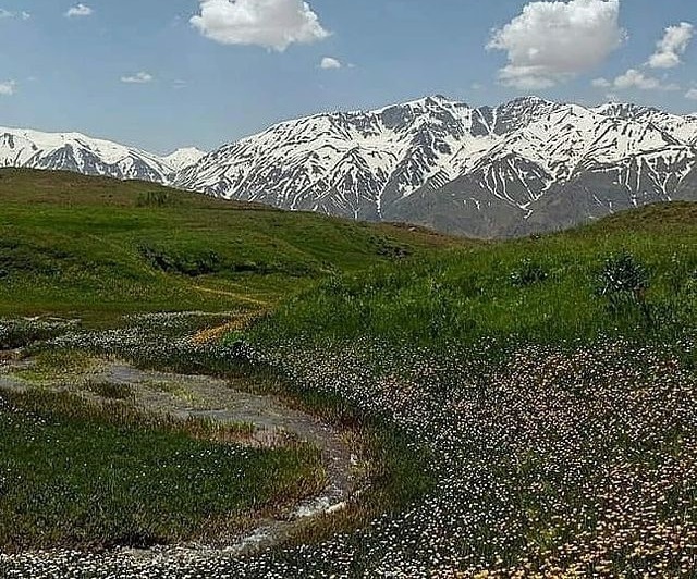 از