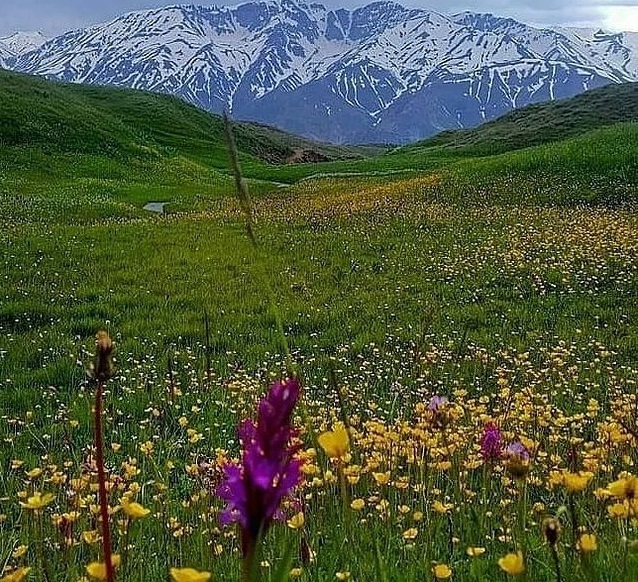 از