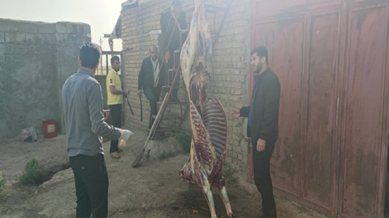 کشف لاشه اسب کشتار شده در قروه