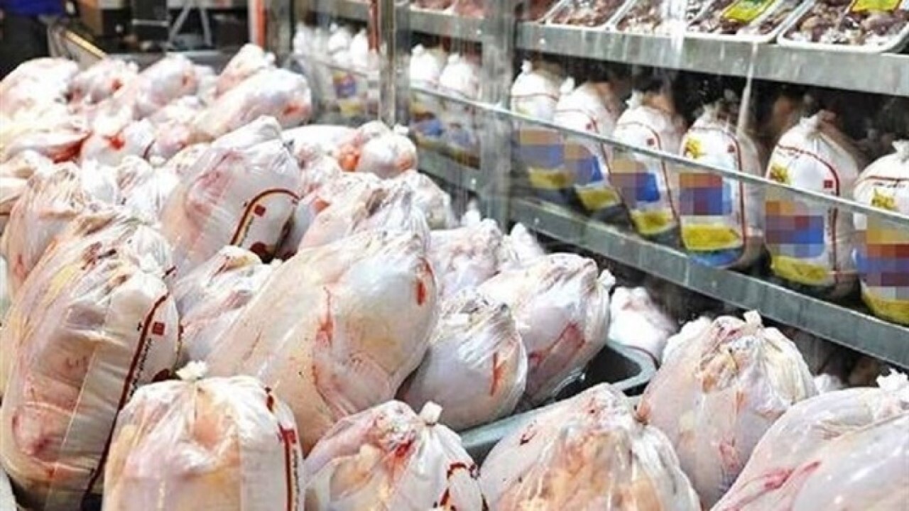 کاهش قیمت مرغ در بجنورد