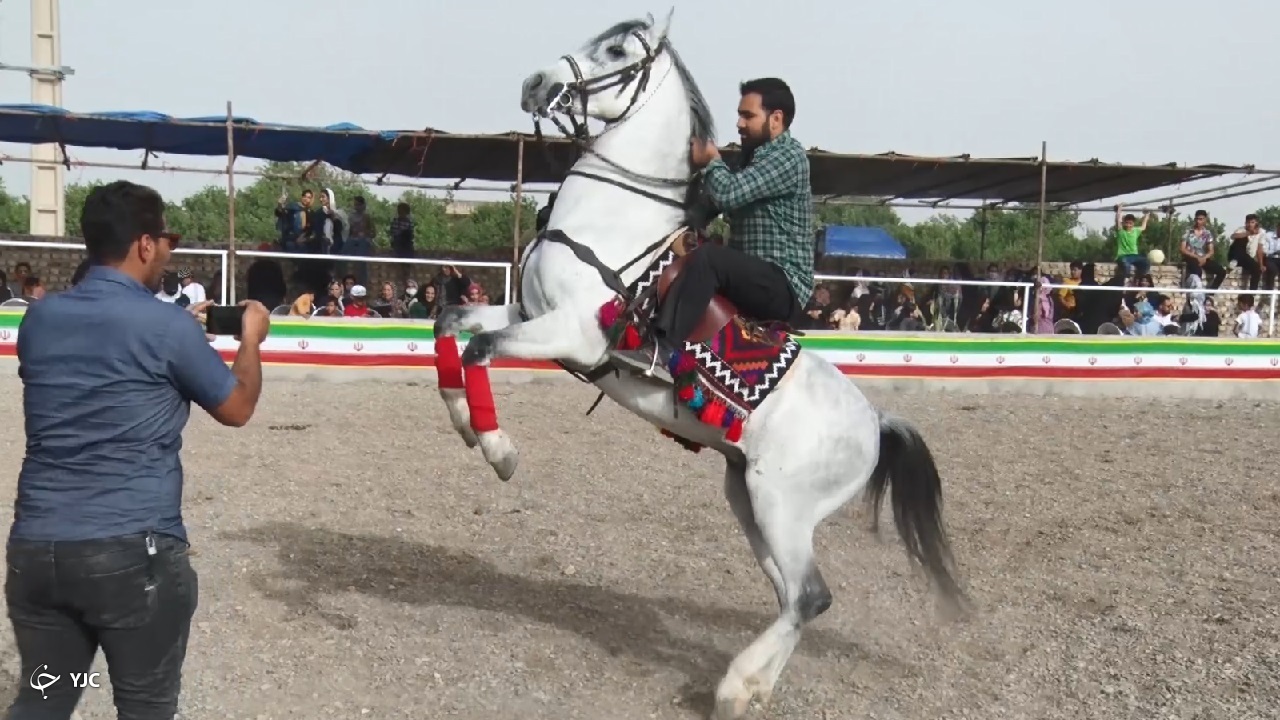 جشنواره کشوری زیبایی اسب در ساوه