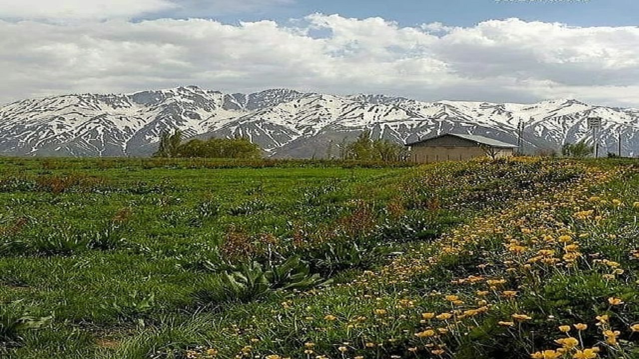 از