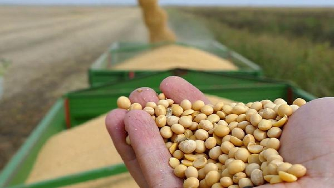 توزیع عادلانه نهاده های دامی اولویت اصلی تعاون روستایی است