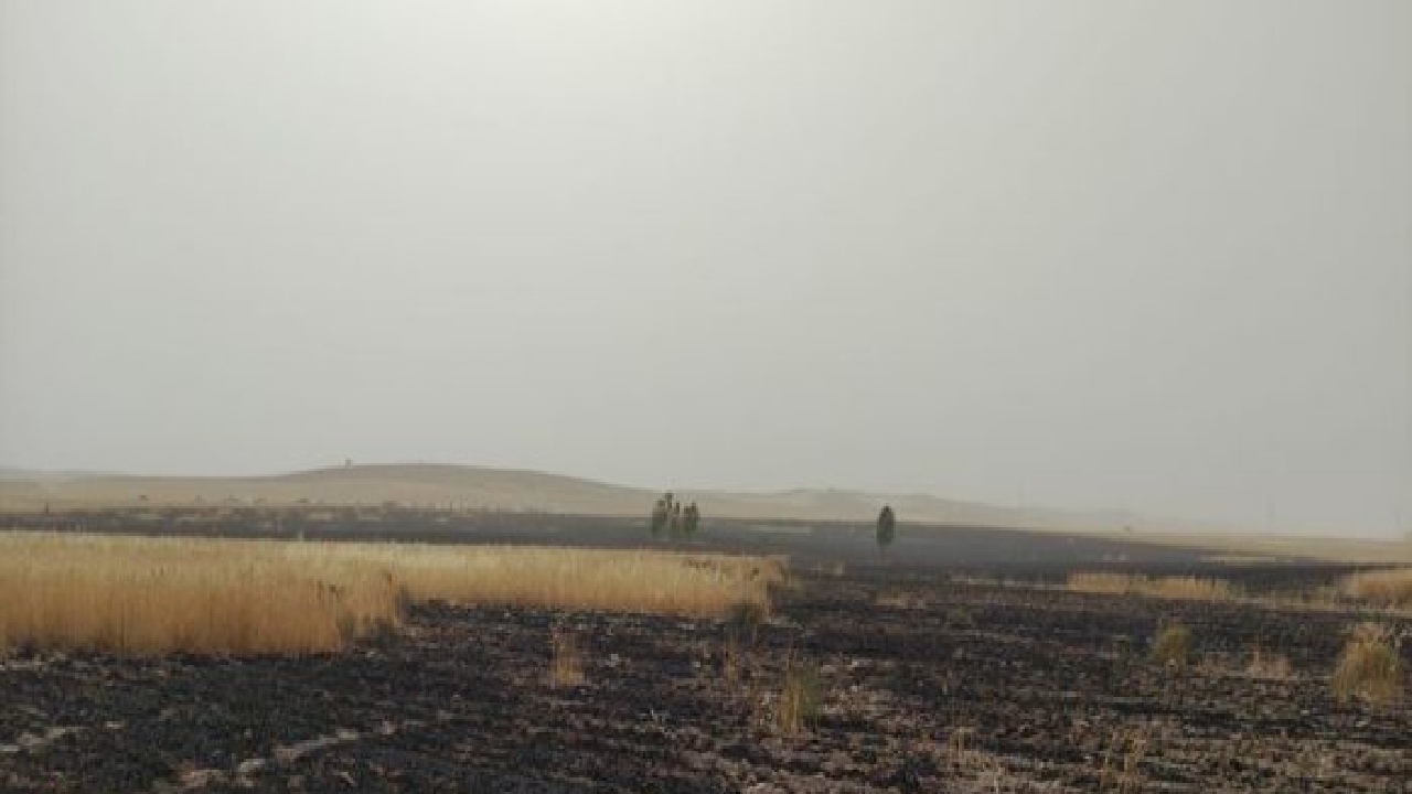 بخشی از مزارع شهرستان کهگیلویه در آتش سوخت