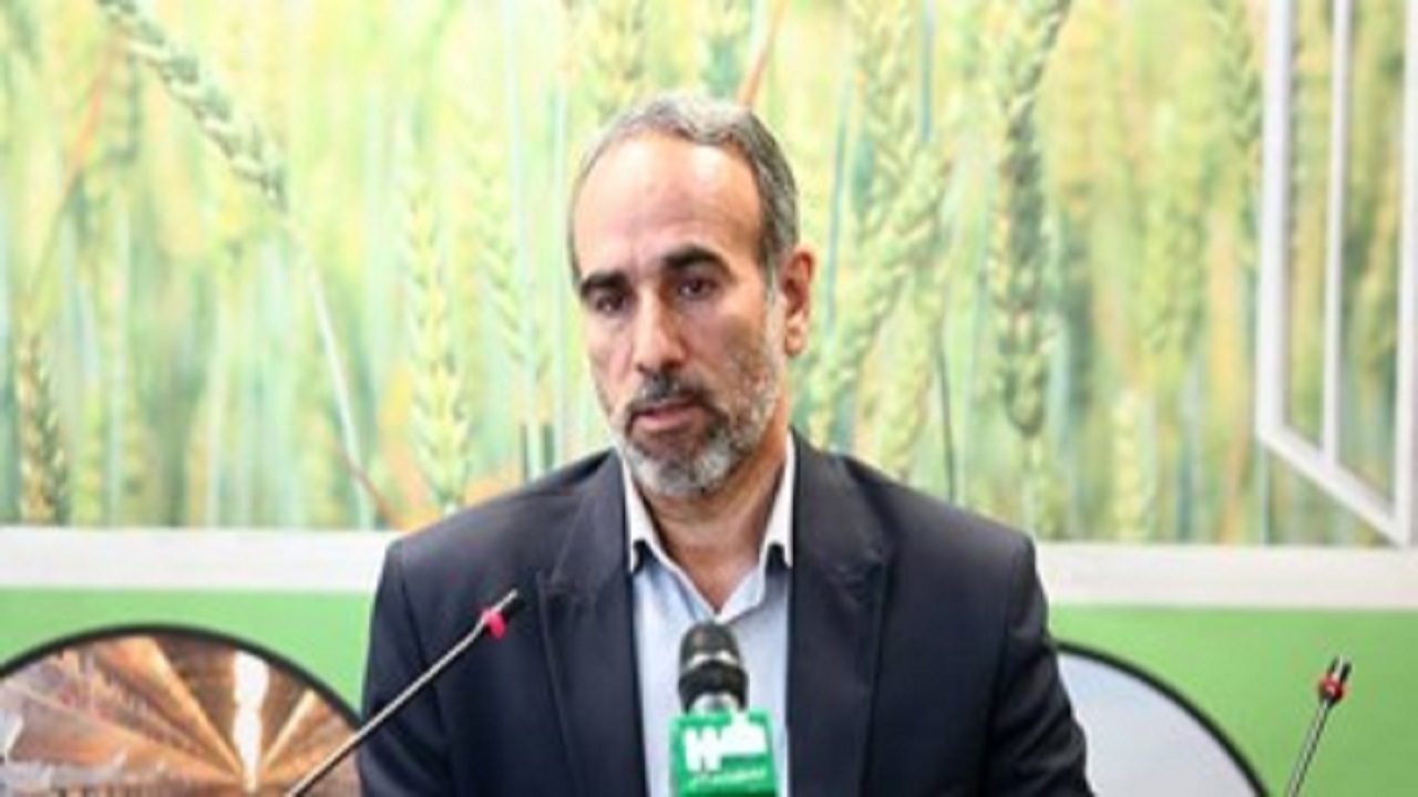 روزانه ۲۰۰ تن تخم مرغ از قم به دیگر استان‌ها صادر می‌شود