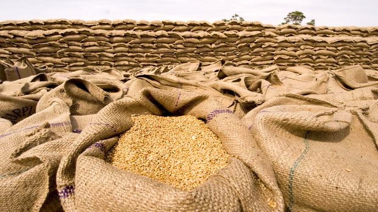 ۳۰۰ هزار تن گندم خریداری شده مصر در اوکراین محبوس شد