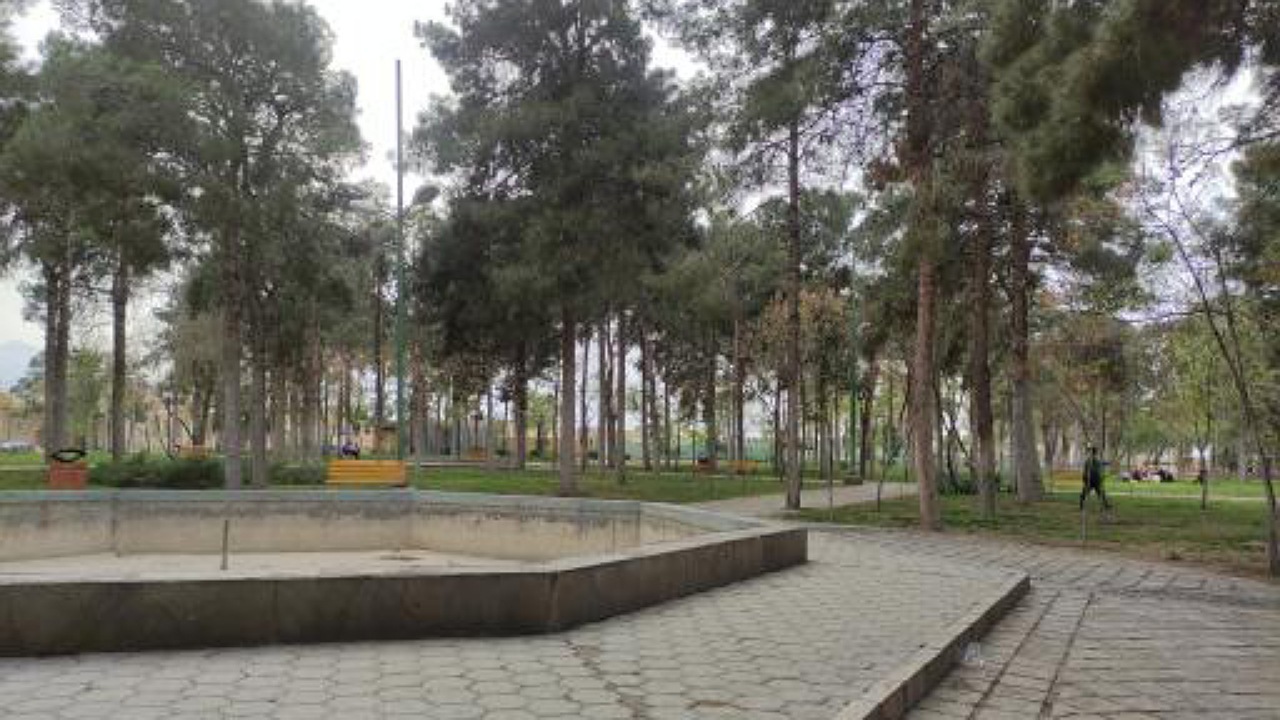 درختی از پارک ملافتح الله کاشان قطع نخواهد شد