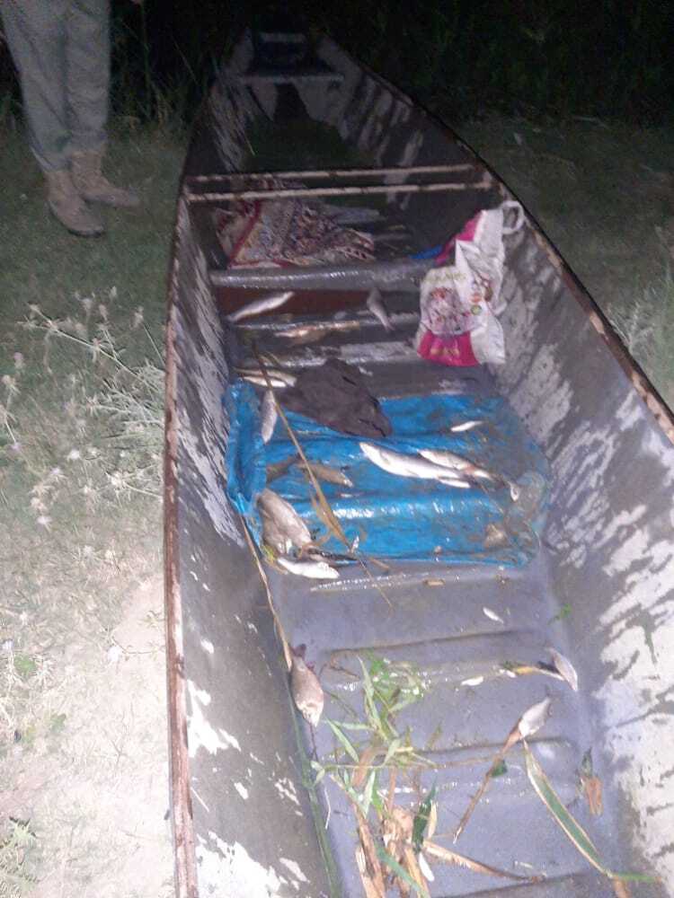 کشف تخلف صید غیر مجاز ماهی با برق در حوزه استحفاظی پارک‌ملی کرخه