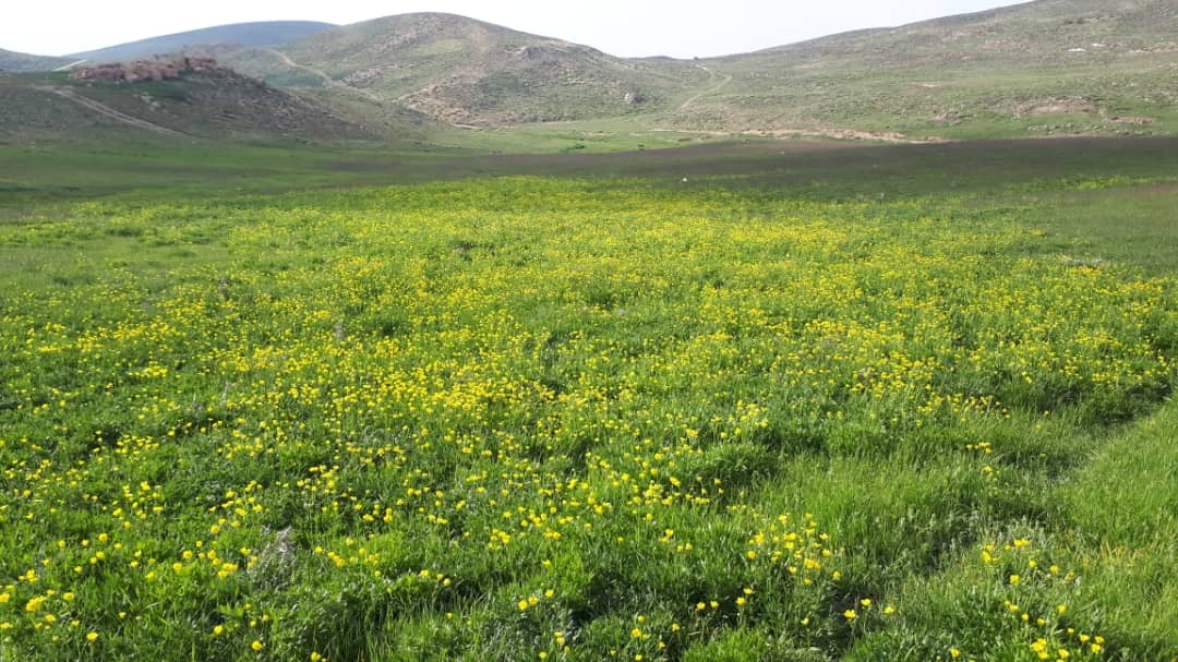 کوه کرکزو تصاویری از طبیعت بهاری قله کرکزو