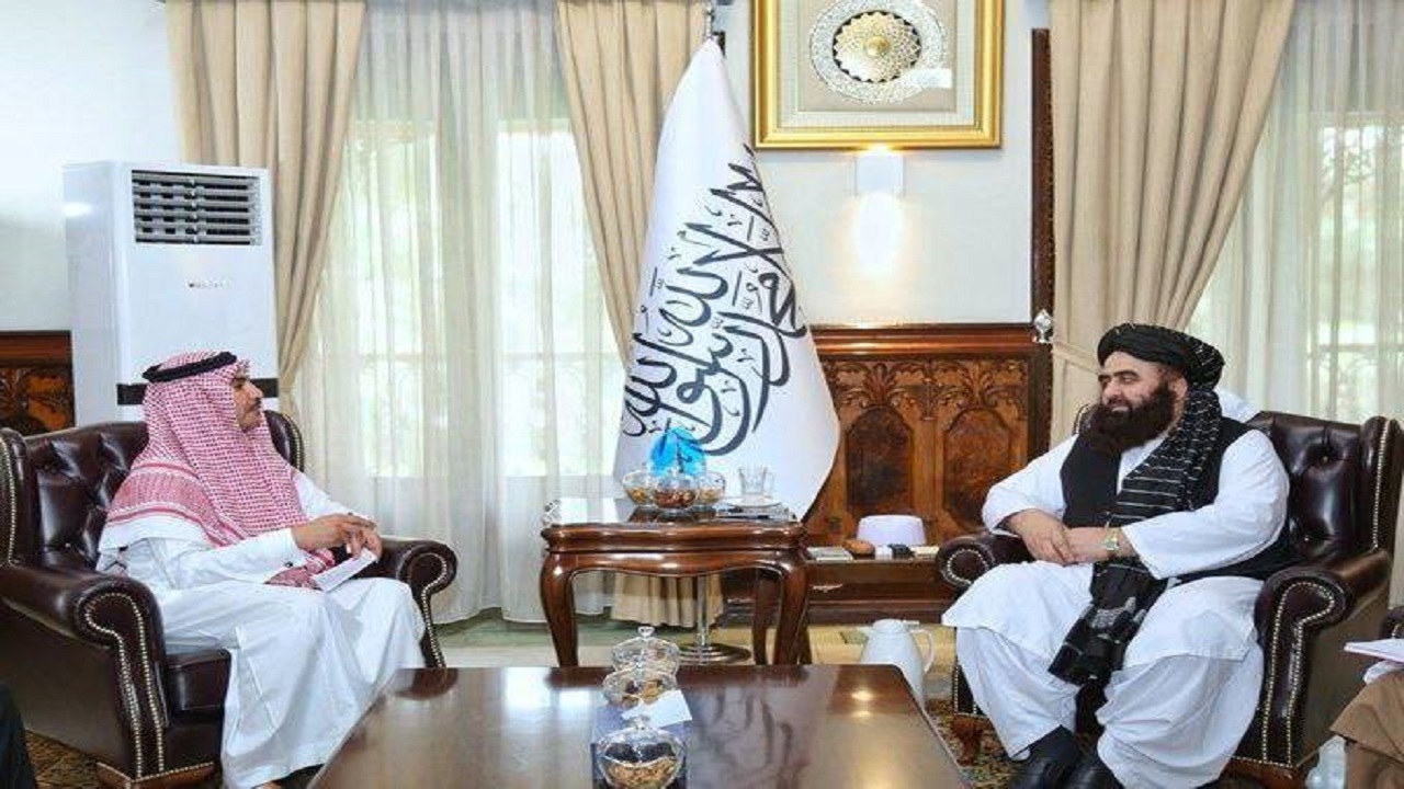 دیدار متقی با رئیس دفتر سازمان همکاری اسلامی