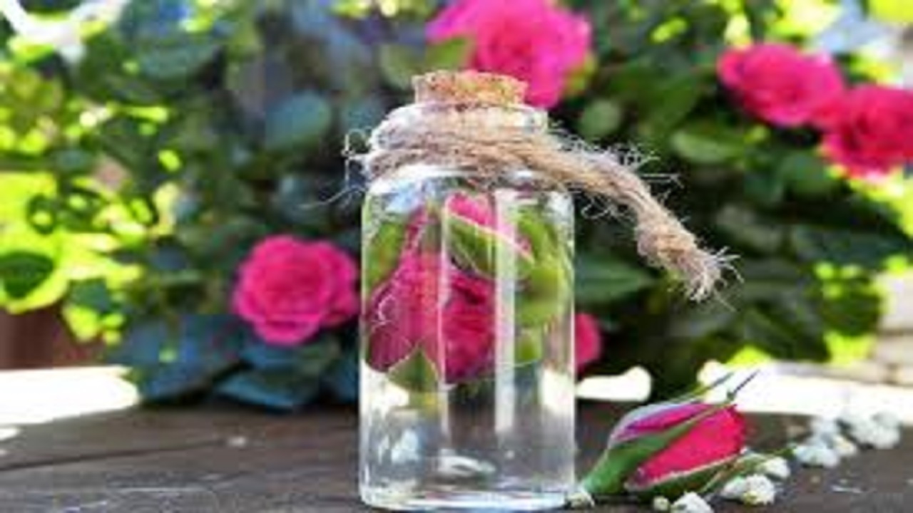 قیمت گلاب در ماه رمضان چند؟