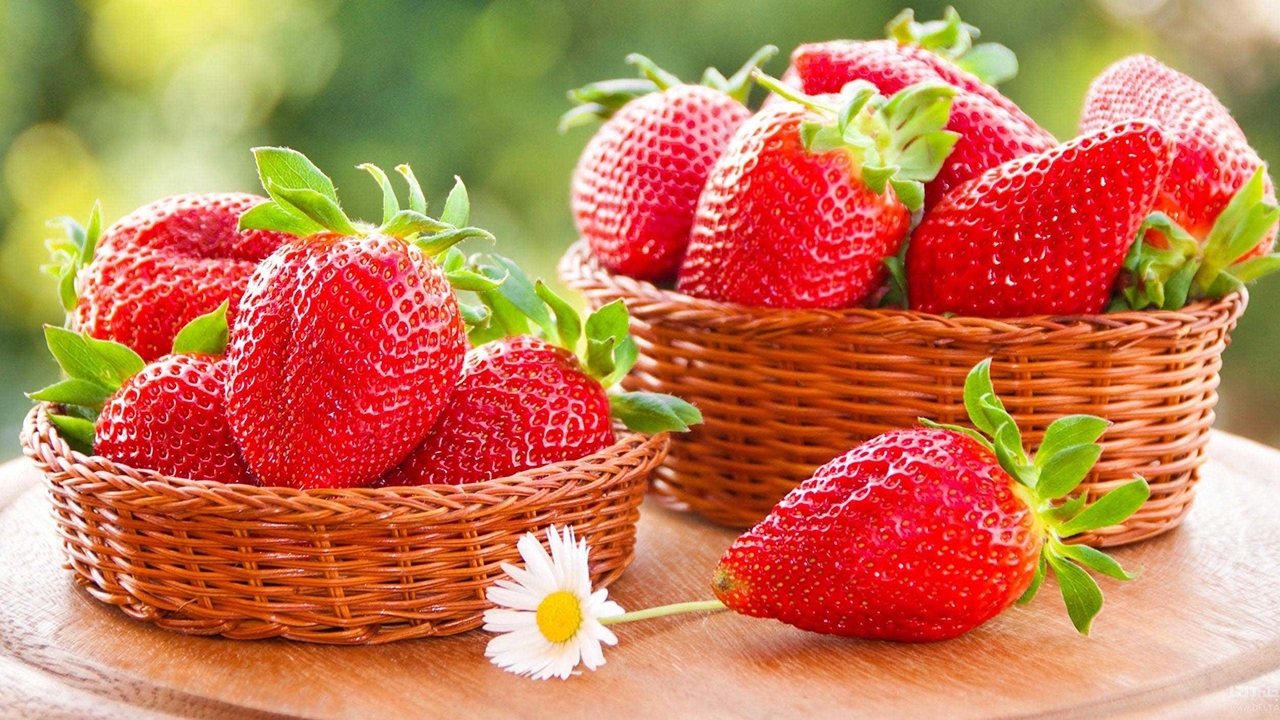 تولید سالانه ۴ هزار و ۸۰۰ تن محصول گلخانه‌ای در زنجان