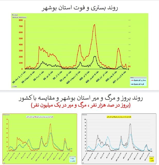 بستری و فوت کرونا در استان بوشهر