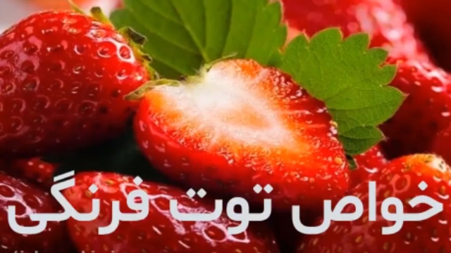 معرفی برخی از خواص توت فرنگی + فیلم
