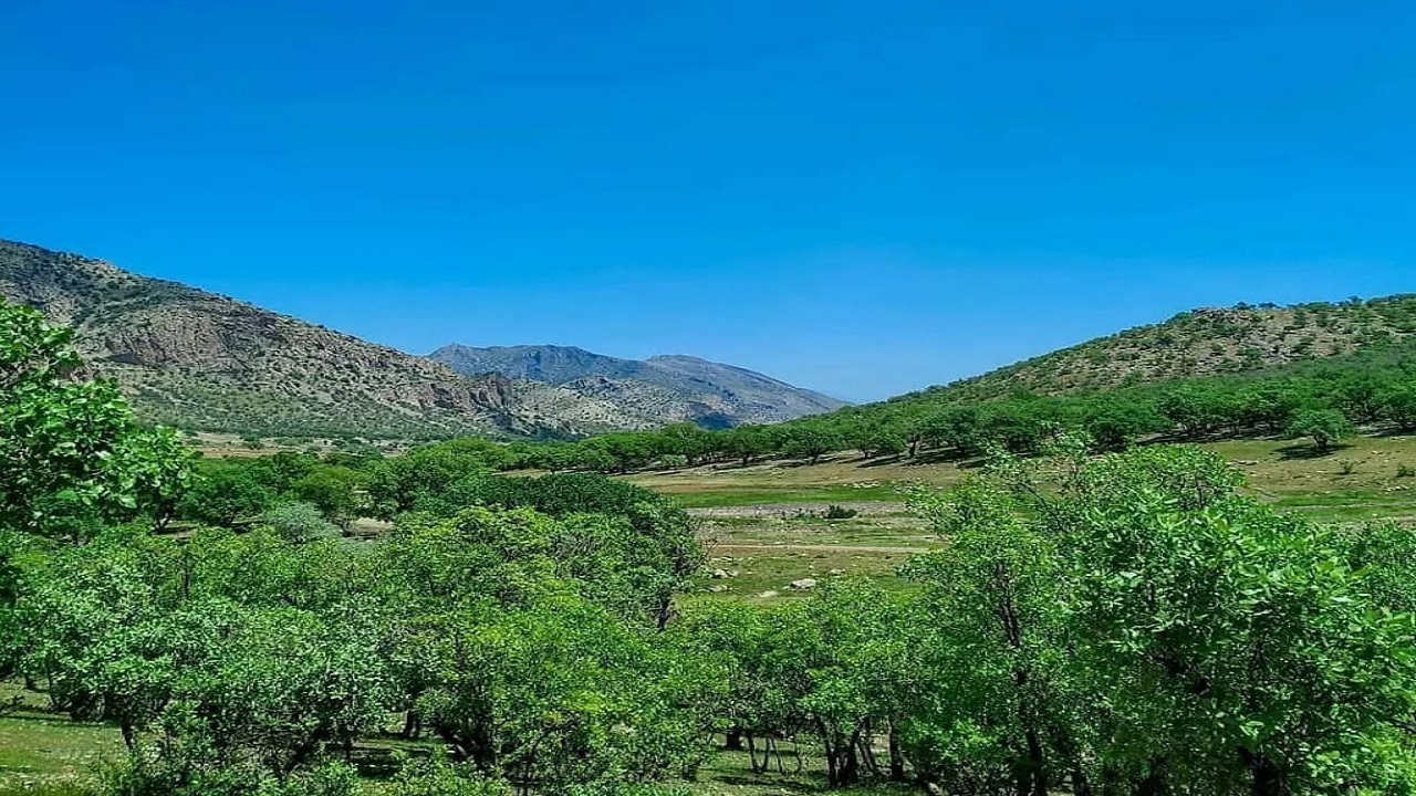 از