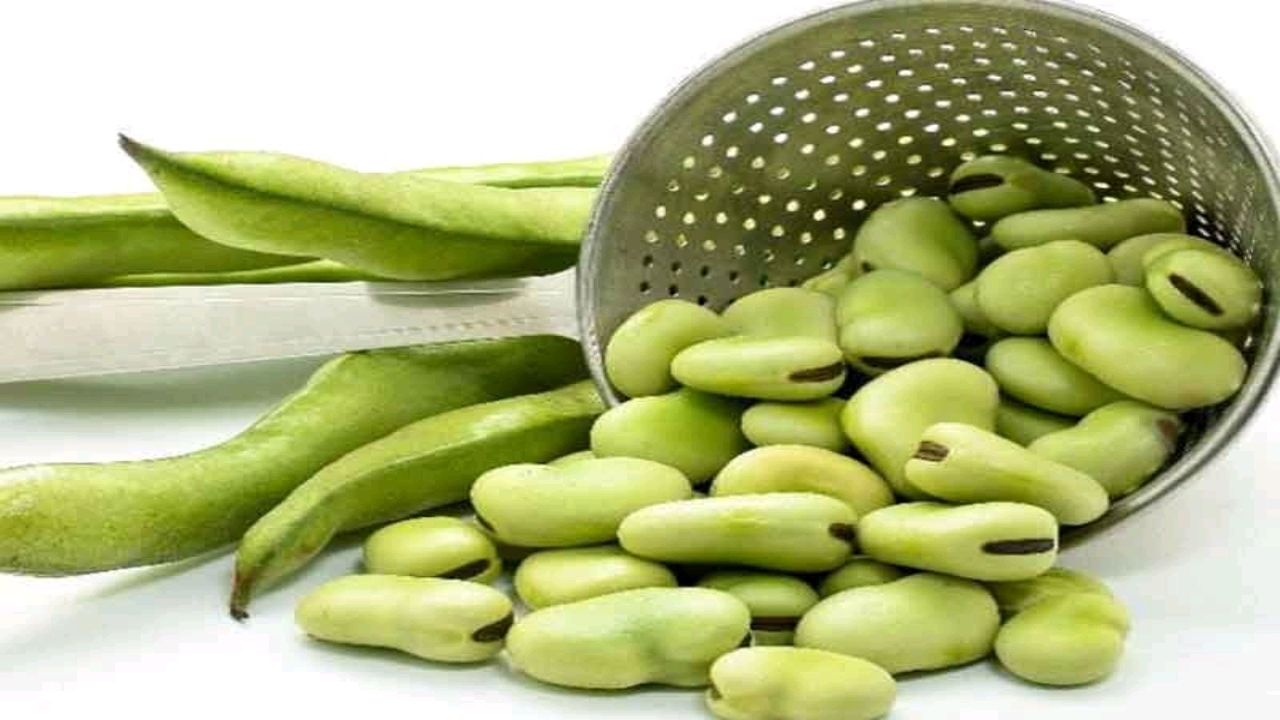 اندر مصائب دانه سبز بهاری/از فاویسم چه می دانید؟