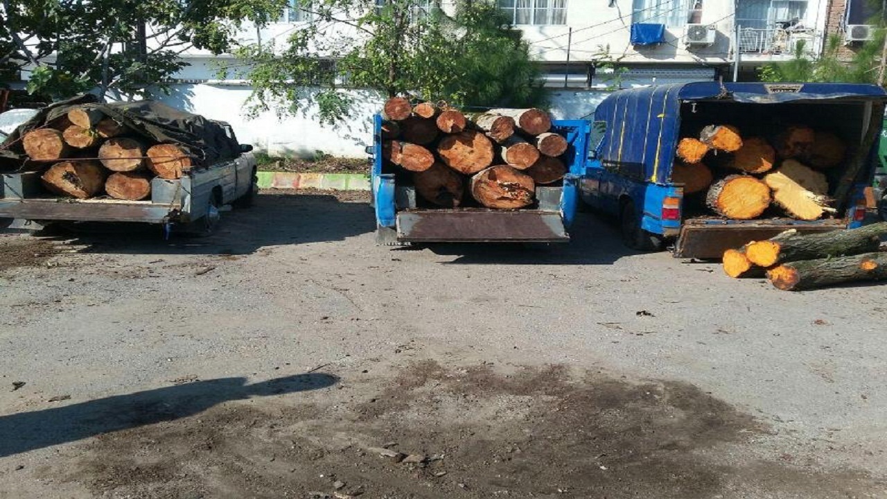 محموله چوب قاچاق به مقصد نرسید