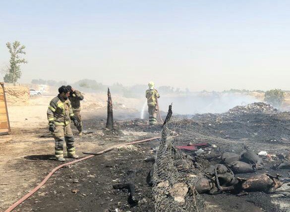 تلف شدن ۱۵۰ راس گوسفند