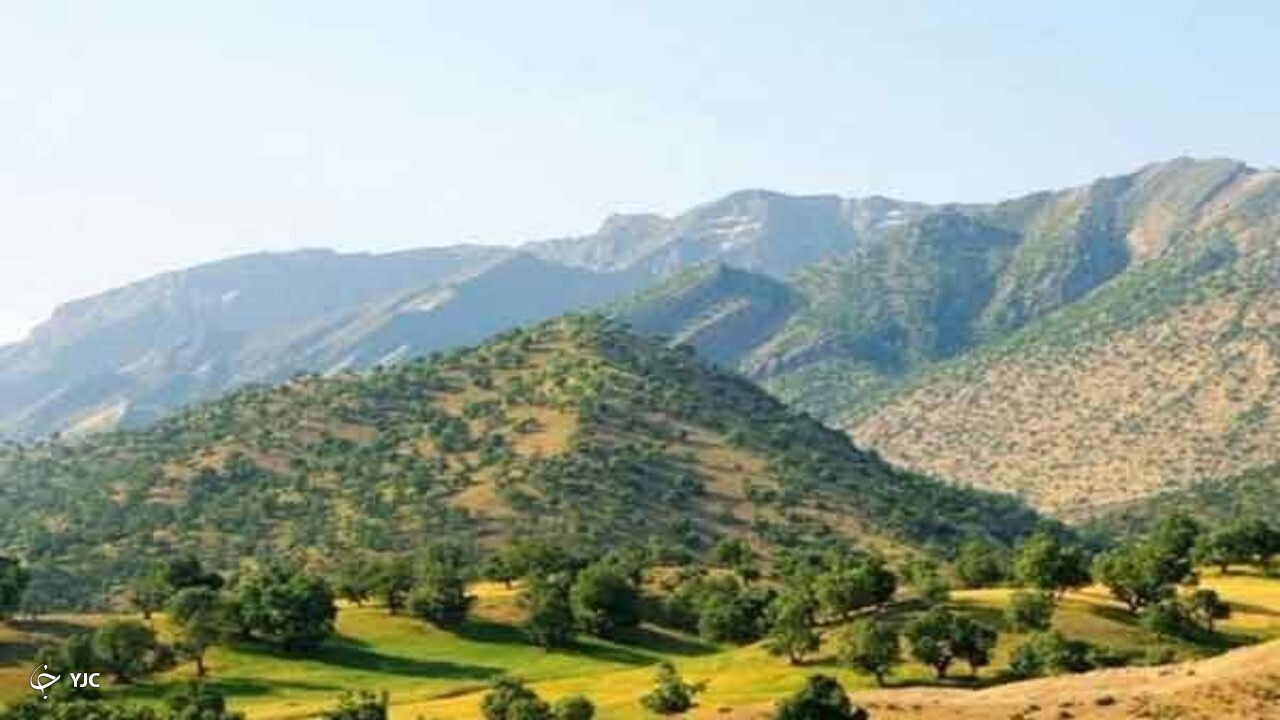 تخریب کنندگان اراضی ملی در بخش خلیفان دستگیر شدند