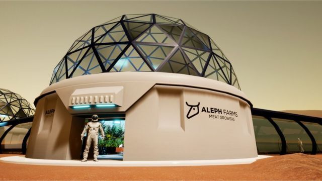 شرکت Aleph Farms