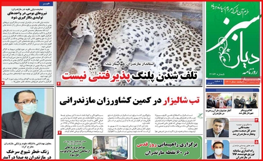 دیار سبز