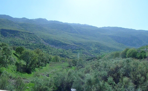 طبیعت زیبای سروآباد در قاب تصویر + تصاویر طبیعت زیبای سروآباد در قاب تصویر + تصاویر