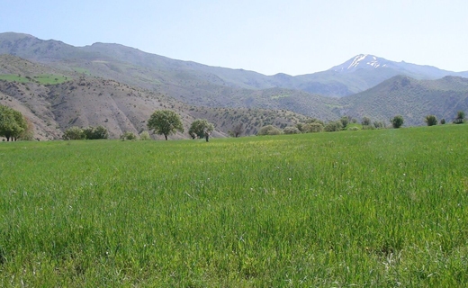 طبیعت زیبای سروآباد در قاب تصویر + تصاویر طبیعت زیبای سروآباد در قاب تصویر + تصاویر