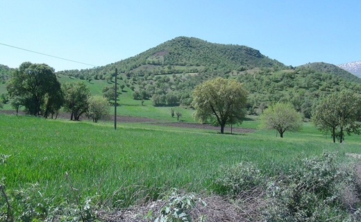طبیعت زیبای سروآباد در قاب تصویر + تصاویر طبیعت زیبای سروآباد در قاب تصویر + تصاویر
