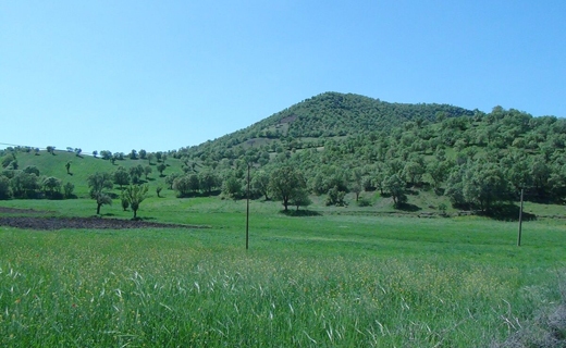 طبیعت زیبای سروآباد در قاب تصویر + تصاویر طبیعت زیبای سروآباد در قاب تصویر + تصاویر