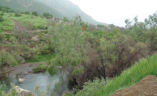 طبیعت زیبای سروآباد در قاب تصویر + تصاویر طبیعت زیبای سروآباد در قاب تصویر + تصاویر