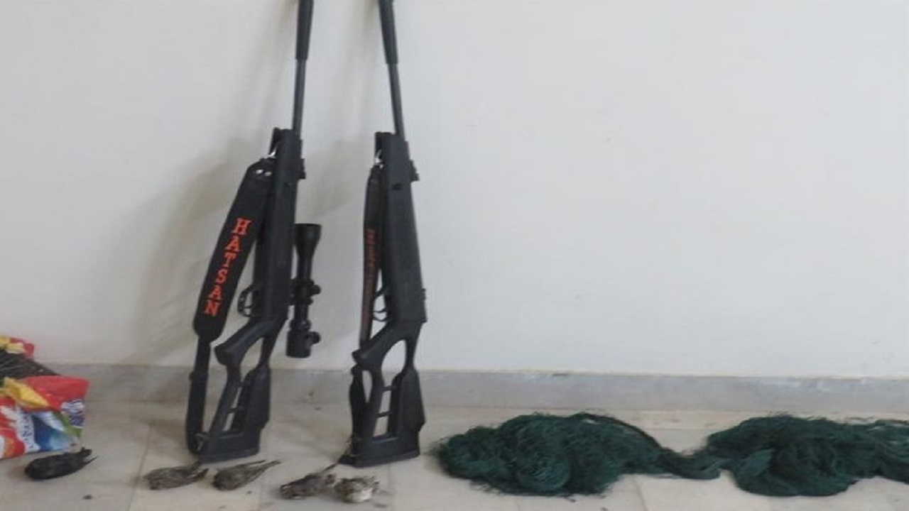 دستگیری عاملان شکار و زنده گیری بلدرچین در گرمی