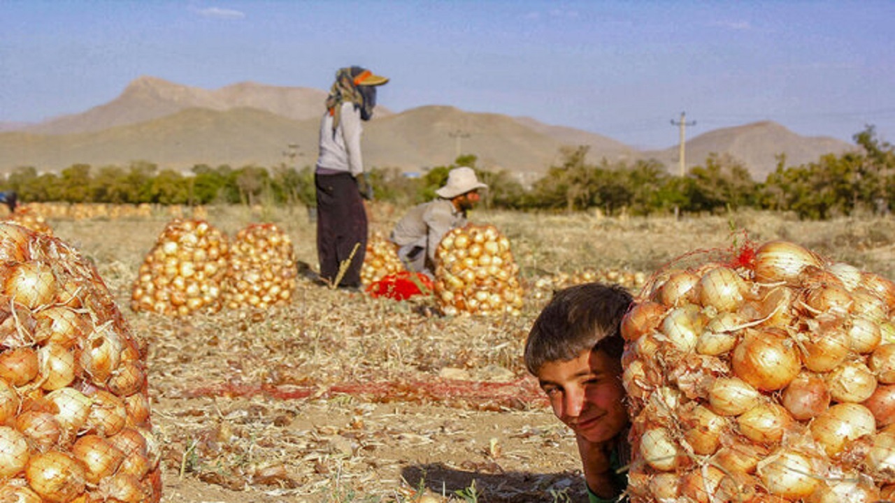 هزار تعاونی روستایی احیا می‌شوند