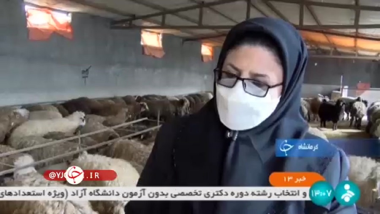 اشتغالزایی برای ۵۰۰ خانوار روستایی