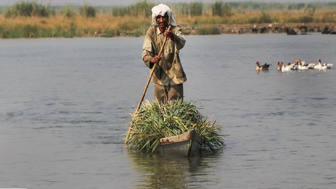 شرایط تابستان تالاب هورالعظیم روی خط نگرانی