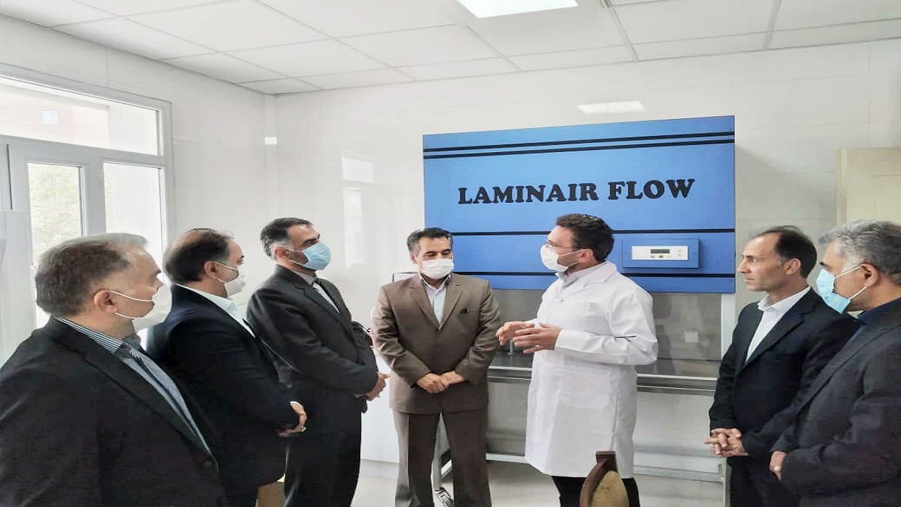 کشتار غیرمجاز دام در اردبیل ساماندهی شود