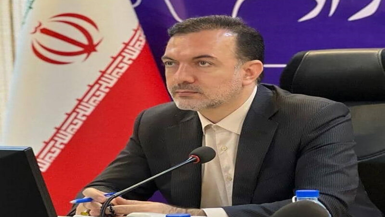 مدیرعامل سازمان منطقه آزاد قشم منصوب شد