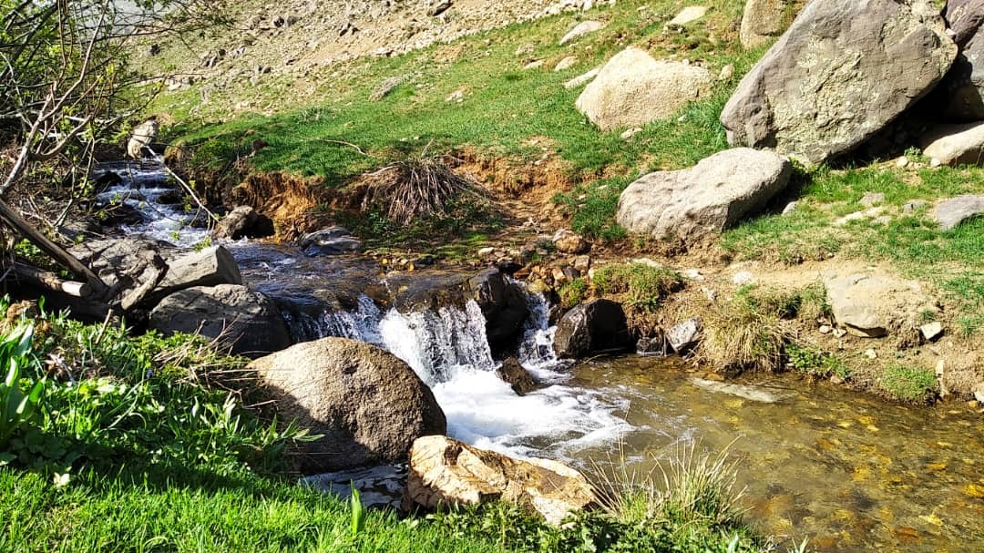 زیبایی های طبیعت دامنه های الوند